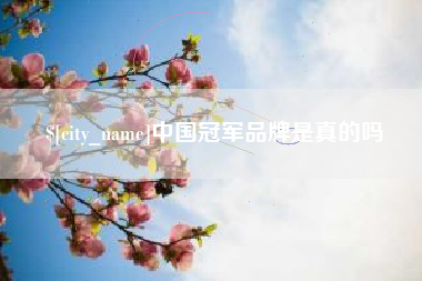 山西中国冠军品牌是真的吗