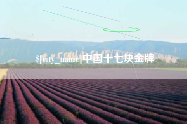 山西中国十七块金牌