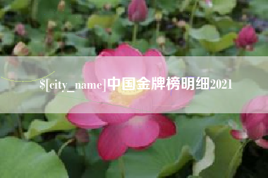 山西中国金牌榜明细2021