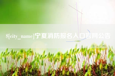 山西宁夏消防报名入口官网公告