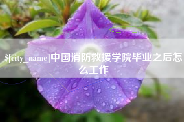 山西中国消防救援学院毕业之后怎么工作