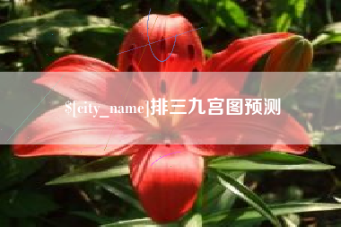 山西排三九宫图预测
