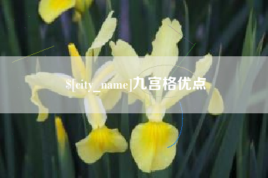 山西九宫格优点