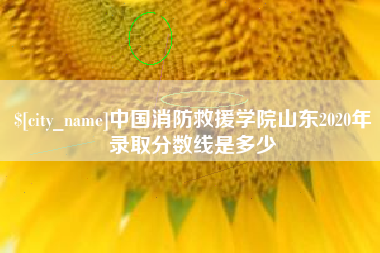 山西中国消防救援学院山东2020年录取分数线是多少