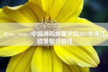 山西中国消防救援学院2021年浙江省录取分数线
