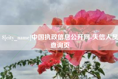 山西中国执政信息公开网-失信人员查询页