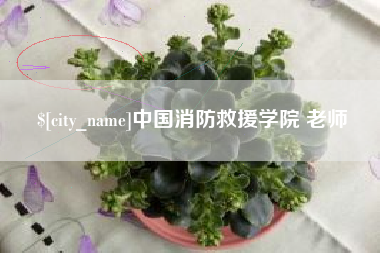 山西中国消防救援学院 老师