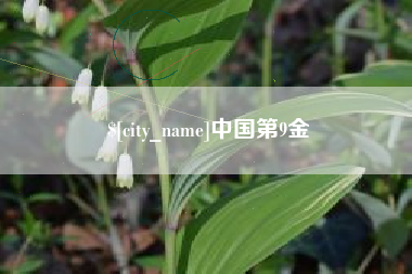 山西中国第9金