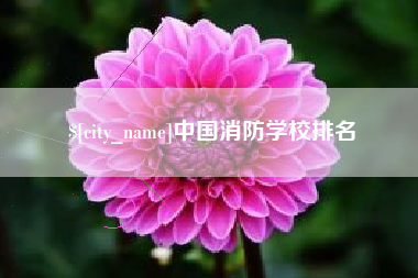 山西中国消防学校排名