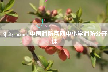 山西中国消防官网中小学消防公开课