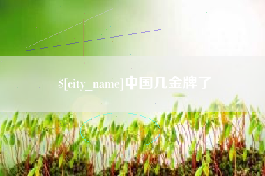 山西中国几金牌了