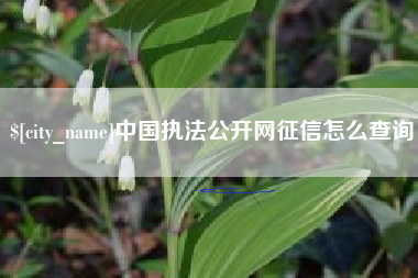 山西中国执法公开网征信怎么查询