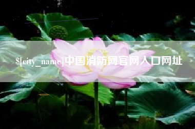 山西中国消防网官网入口网址