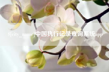 山西中国执行记录查询系统app