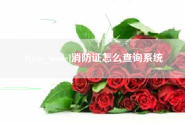 山西消防证怎么查询系统