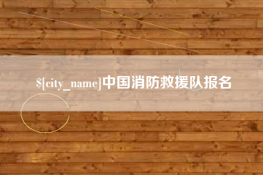 山西中国消防救援队报名