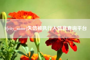 山西失信被执行人信息查询平台