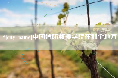 山西中国消防救援学院在那个地方