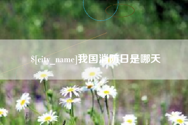 山西我国消防日是哪天