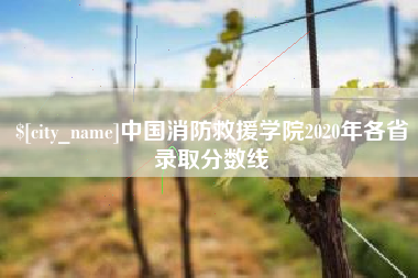 山西中国消防救援学院2020年各省录取分数线