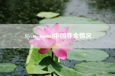 山西中国夺金情况