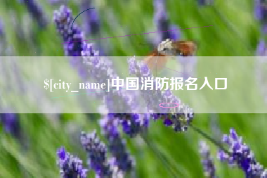 山西中国消防报名入口