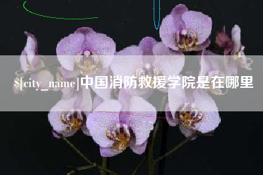 山西中国消防救援学院是在哪里
