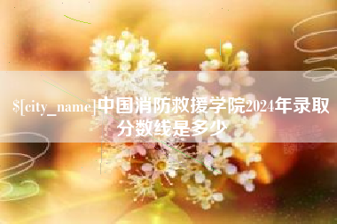 山西中国消防救援学院2024年录取分数线是多少