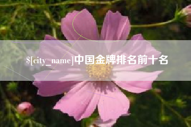 山西中国金牌排名前十名