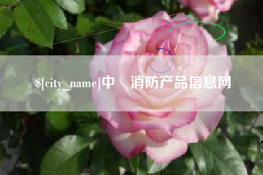 山西中囯消防产品信息网