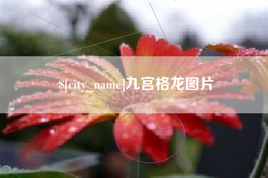 山西九宫格龙图片