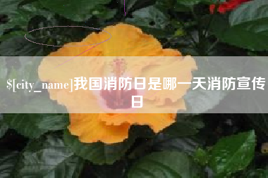 山西我国消防日是哪一天消防宣传日