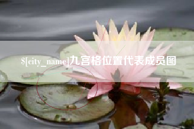 山西九宫格位置代表成员图