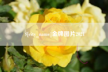 山西金牌图片2021