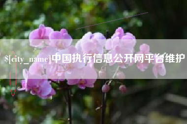 山西中国执行信息公开网平台维护