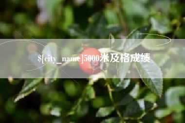 山西5000米及格成绩