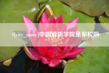 山西中国消防学院是军校吗