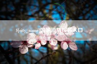 山西国家消防报名入口