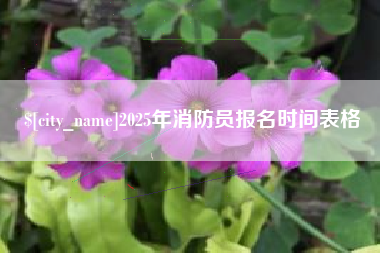 山西2025年消防员报名时间表格