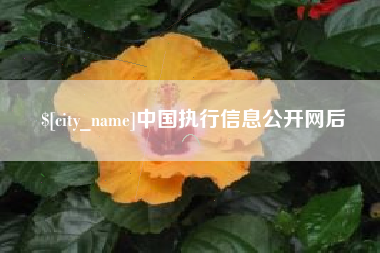 山西中国执行信息公开网后