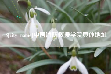 山西中国消防救援学院具体地址