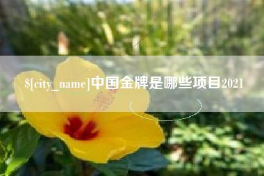 山西中国金牌是哪些项目2021