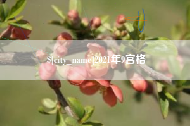 山西2021年9宫格