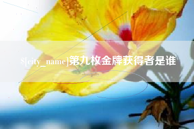 山西第九枚金牌获得者是谁