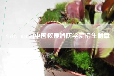 山西中国救援消防学院招生简章
