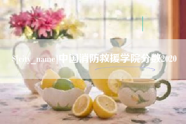 山西中国消防救援学院分数2020