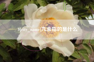 山西九金指的是什么
