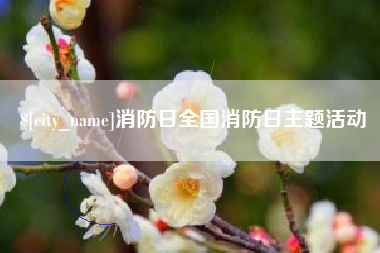 山西消防日全国消防日主题活动