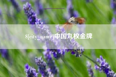 山西中国九枚金牌