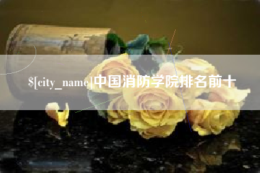 山西中国消防学院排名前十